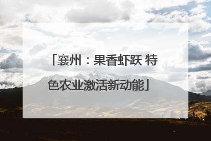 襄州：果香虾跃 特色农业激活新动能