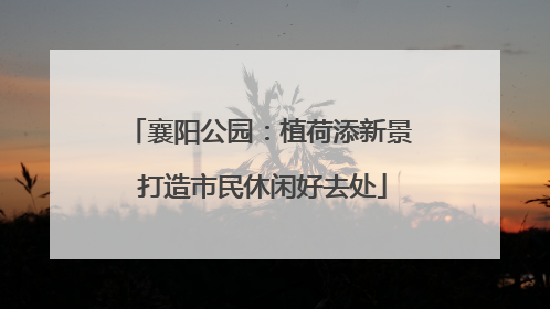 襄阳公园：植荷添新景 打造市民休闲好去处