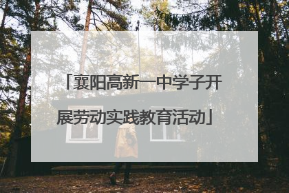 襄阳高新一中学子开展劳动实践教育活动