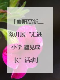 襄阳高新二幼开展“走进小学 遇见成长”活动