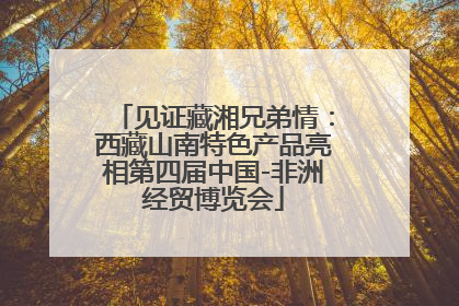 见证藏湘兄弟情：西藏山南特色产品亮相第四届中国-非洲经贸博览会