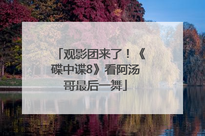 观影团来了！《碟中谍8》看阿汤哥最后一舞