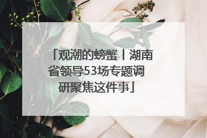 观潮的螃蟹丨湖南省领导53场专题调研聚焦这件事