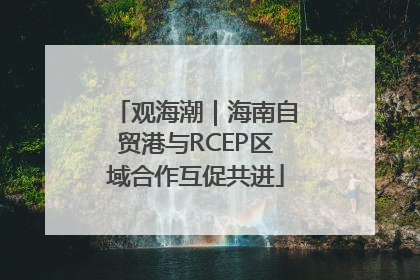 观海潮｜海南自贸港与RCEP区域合作互促共进