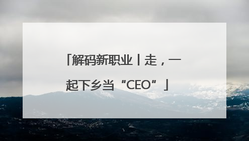 解码新职业丨走，一起下乡当“CEO”