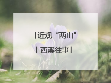 近观“两山”丨西溪往事