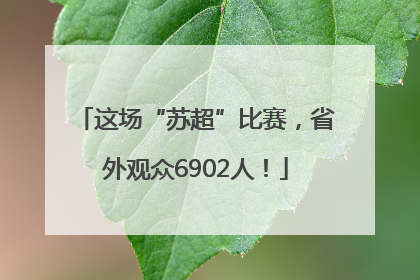 这场“苏超”比赛，省外观众6902人！