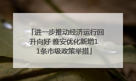 进一步推动经济运行回升向好 雅安优化新增11条市级政策举措