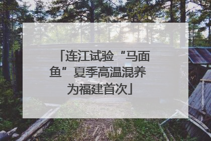 连江试验“马面鱼”夏季高温混养 为福建首次