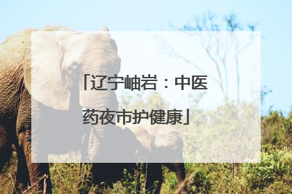辽宁岫岩：中医药夜市护健康