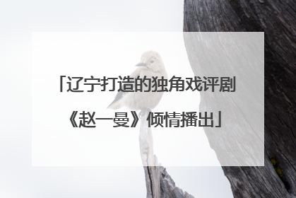辽宁打造的独角戏评剧《赵一曼》倾情播出