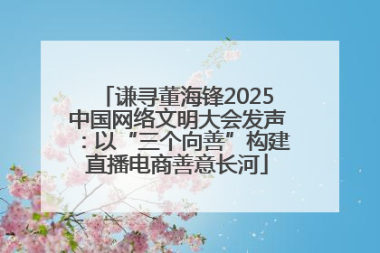 谦寻董海锋2025中国网络文明大会发声：以“三个向善”构建直播电商善意长河