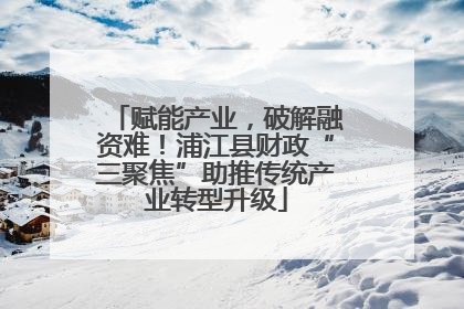 赋能产业，破解融资难！浦江县财政“三聚焦”助推传统产业转型升级