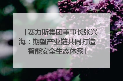 赛力斯集团董事长张兴海：期望产业链共同打造智能安全生态体系