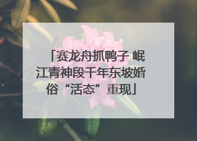 赛龙舟抓鸭子 岷江青神段千年东坡婚俗“活态”重现