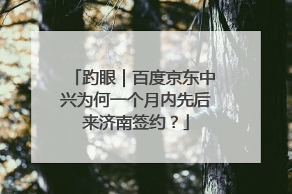 趵眼｜百度京东中兴为何一个月内先后来济南签约？