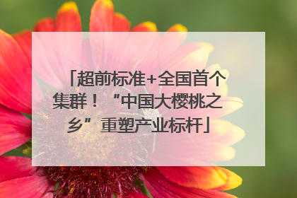 超前标准+全国首个集群！“中国大樱桃之乡”重塑产业标杆