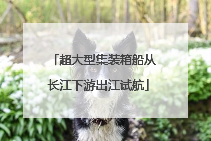 超大型集装箱船从长江下游出江试航
