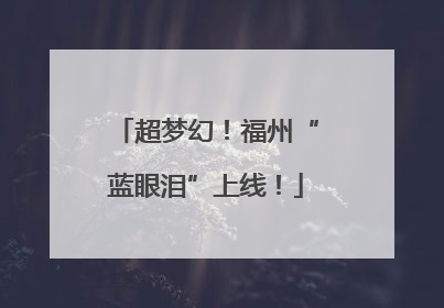 超梦幻！福州“蓝眼泪”上线！