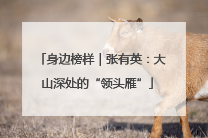 身边榜样｜张有英：大山深处的“领头雁”