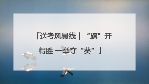送考风景线｜“旗”开得胜 一举夺“葵”