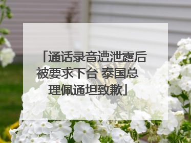 通话录音遭泄露后被要求下台 泰国总理佩通坦致歉