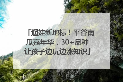 遛娃新地标！平谷南瓜嘉年华，30+品种让孩子边玩边涨知识