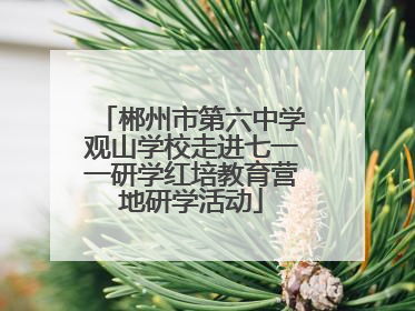 郴州市第六中学观山学校走进七一一研学红培教育营地研学活动