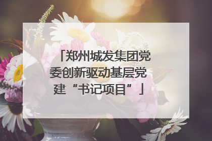郑州城发集团党委创新驱动基层党建“书记项目”