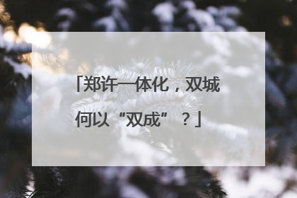 郑许一体化，双城何以“双成”？