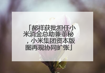 郝祥获批担任小米消金总助兼董秘，小米集团资本版图再现协同扩张