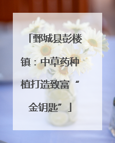 鄄城县彭楼镇：中草药种植打造致富“金钥匙”