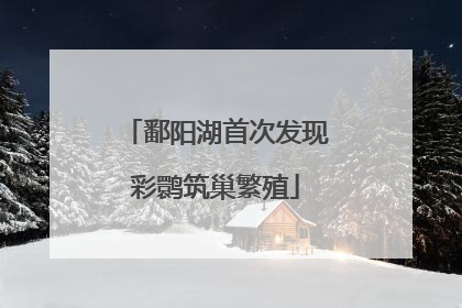 鄱阳湖首次发现彩鹮筑巢繁殖