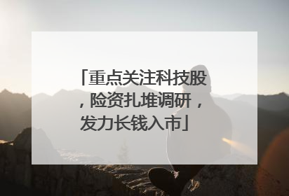 重点关注科技股，险资扎堆调研，发力长钱入市