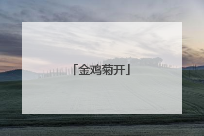 金鸡菊开