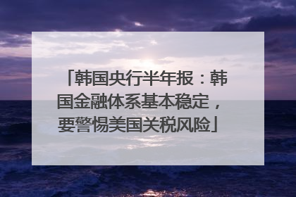 韩国央行半年报：韩国金融体系基本稳定，要警惕美国关税风险