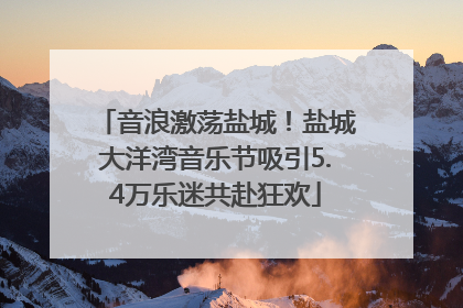 音浪激荡盐城！盐城大洋湾音乐节吸引5.4万乐迷共赴狂欢