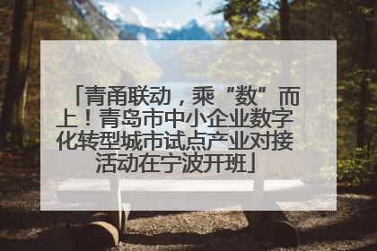 青甬联动，乘“数”而上！青岛市中小企业数字化转型城市试点产业对接活动在宁波开班