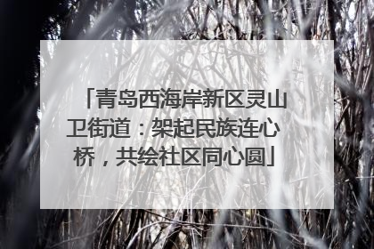 青岛西海岸新区灵山卫街道：架起民族连心桥，共绘社区同心圆