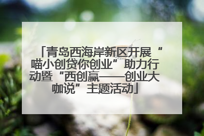 青岛西海岸新区开展“喵小创贷你创业”助力行动暨“西创赢——创业大咖说”主题活动