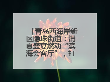 青岛西海岸新区隐珠街道：消夏盛宴燃动“滨海会客厅”，打造全天候、全龄段消费生态圈