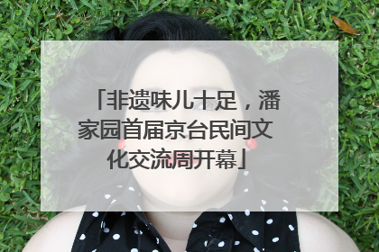 非遗味儿十足，潘家园首届京台民间文化交流周开幕