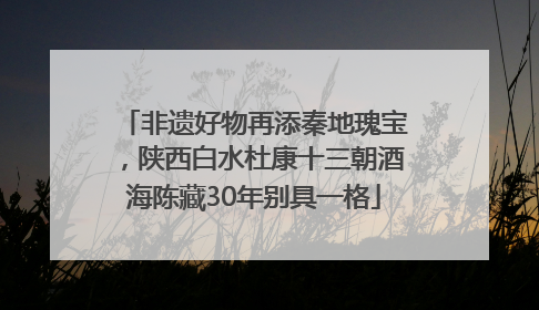 非遗好物再添秦地瑰宝，陕西白水杜康十三朝酒海陈藏30年别具一格