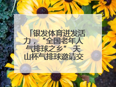 银发体育迸发活力，“全国老年人气排球之乡” 天山杯气排球邀请交流赛举行