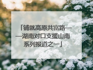 铺就高原共富路——湖南对口支援山南系列报道之一