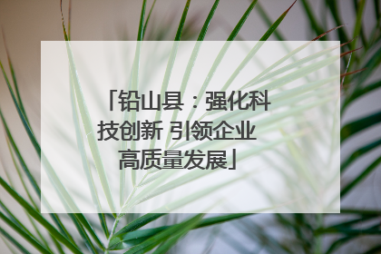 铅山县：强化科技创新 引领企业高质量发展