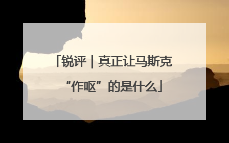 锐评｜真正让马斯克“作呕”的是什么