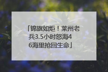 锦旗如炬！莱州老兵3.5小时怒海46海里抢回生命