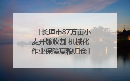 长垣市87万亩小麦开镰收割 机械化作业保障夏粮归仓