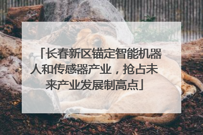 长春新区锚定智能机器人和传感器产业，抢占未来产业发展制高点